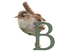 Birdnote Logo